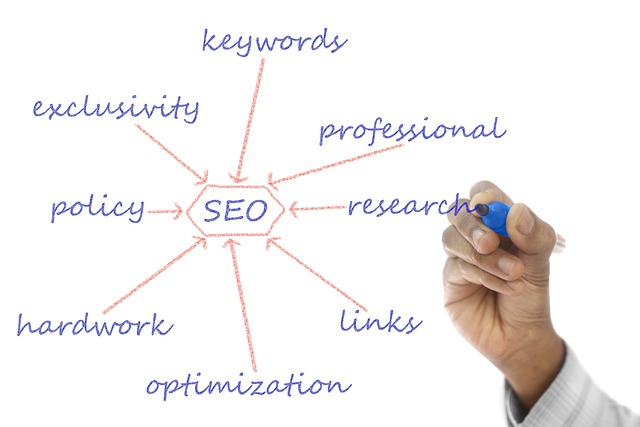 professional website developer working on a web development project